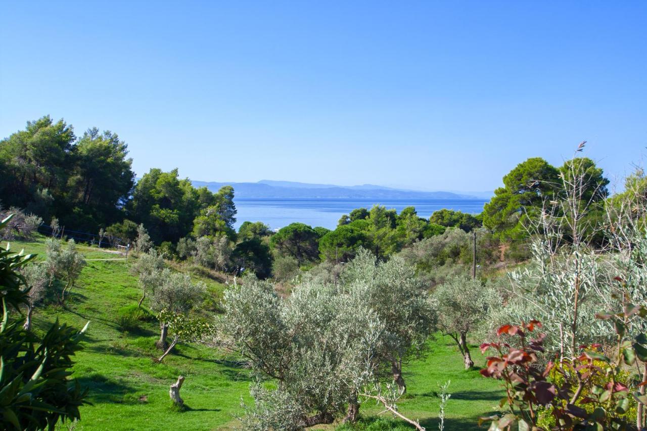Angelos Studios Vromolimnos Dış mekan fotoğraf