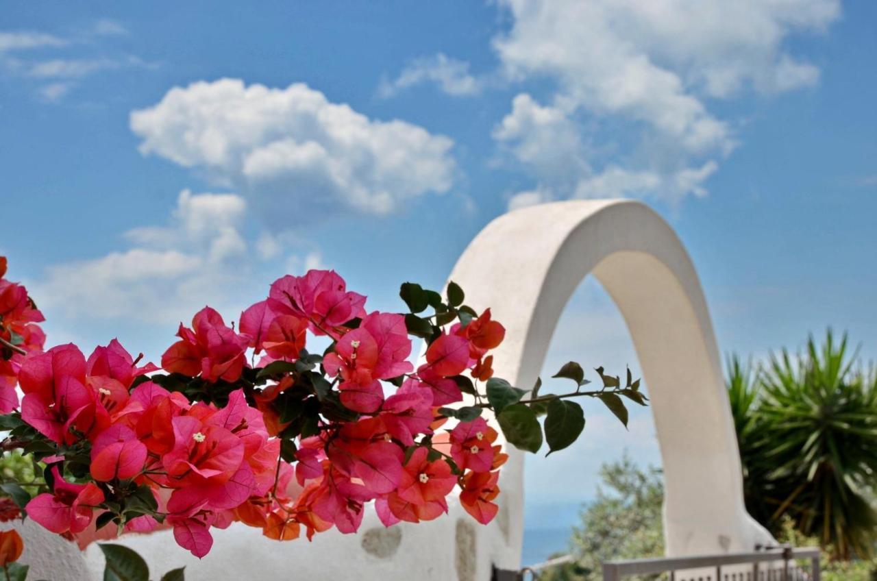 Angelos Studios Vromolimnos Dış mekan fotoğraf